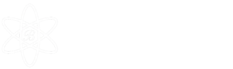 Bixx AI